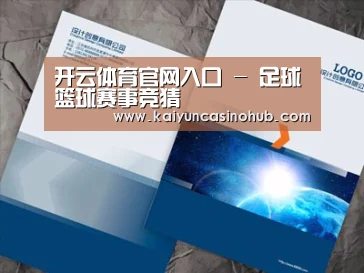 项目名称十