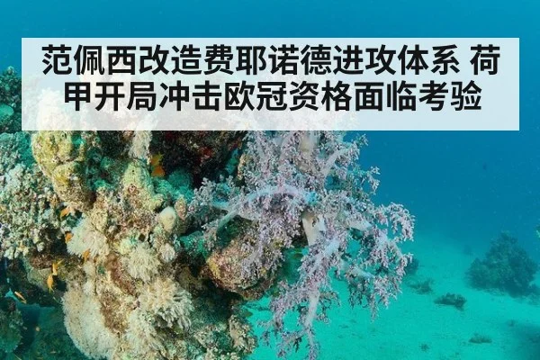范佩西改造费耶诺德进攻体系 荷甲开局冲击欧冠资格面临考验
